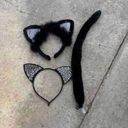 Cat Ears And Tail 