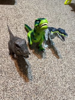 Dinosaurs large and small