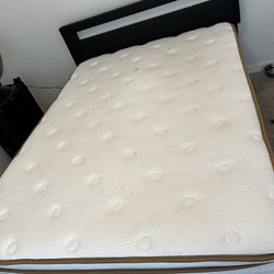 Queen Mattress 