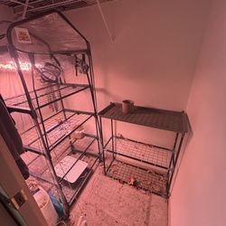 Portable Greenhouse And Plant Shelf