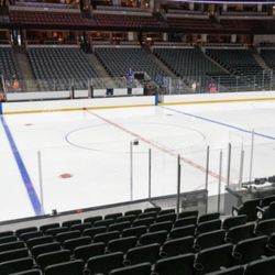 Vegas Golden Knight At Ducks 