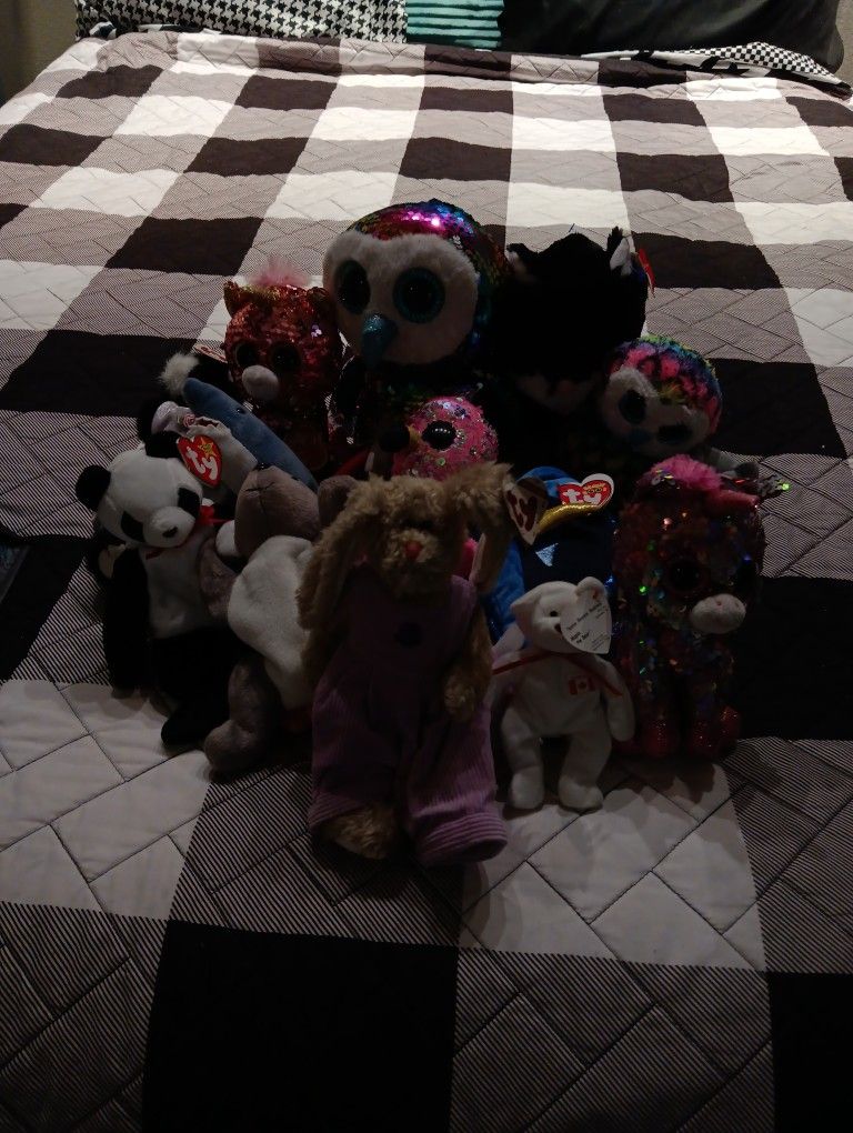 All Kind of old TY Beanie Babies some collectible and old Pokémon card collection make offer