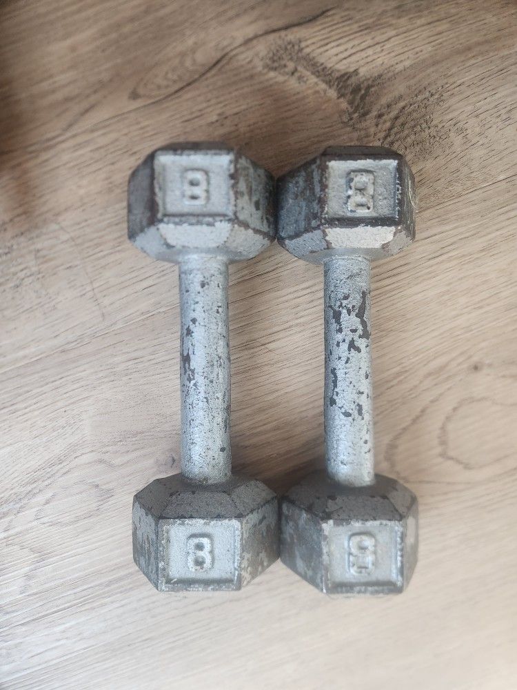 8 Lb Weights