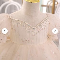 3T Birthday Dress Light Champagne Tulle Dress with Flowers Stars Sequins Flower Girl Dress Pearls Neckline Toddler Occasion Dress 