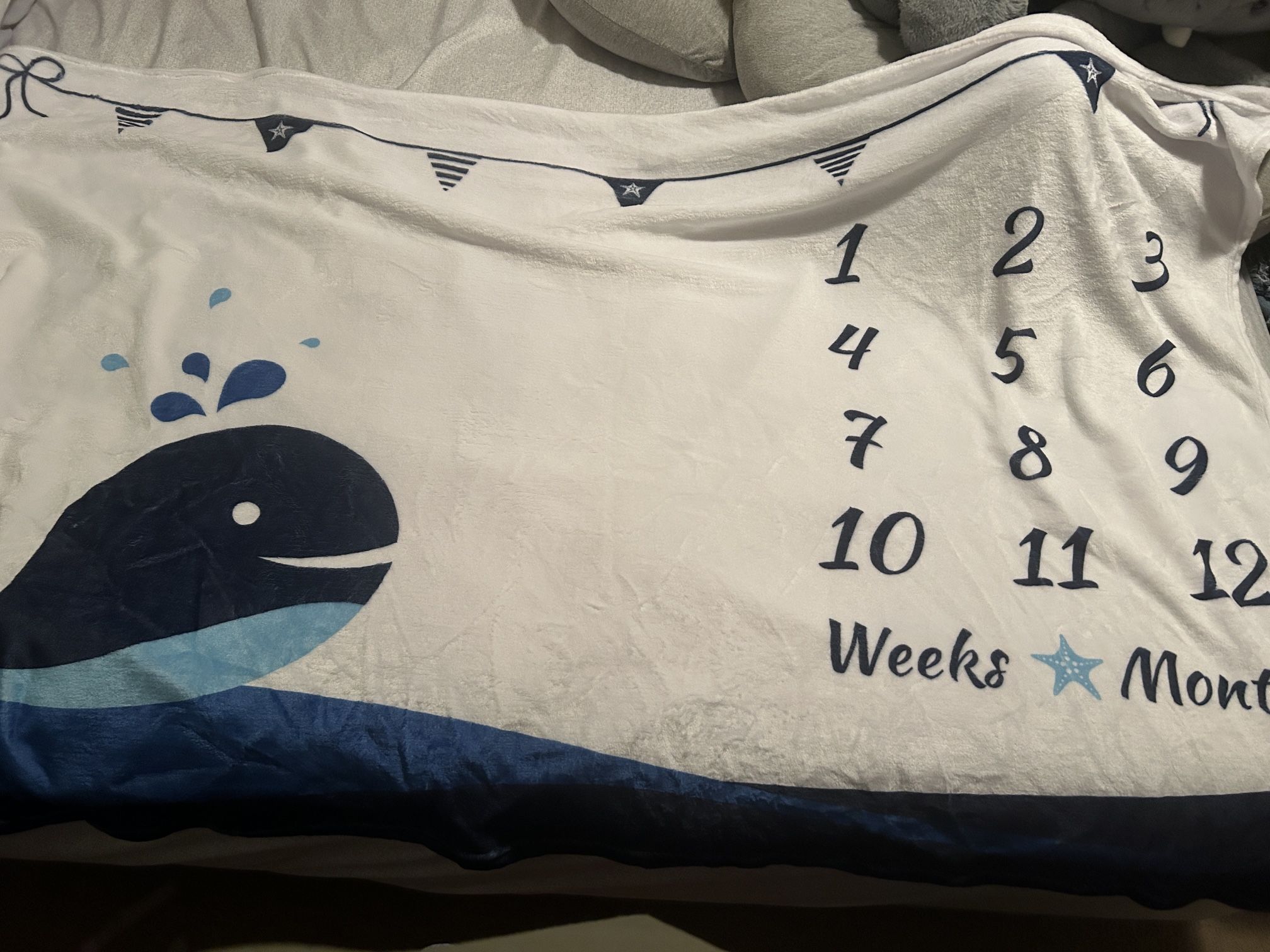 Whale Baby Month Milestone Blanket 