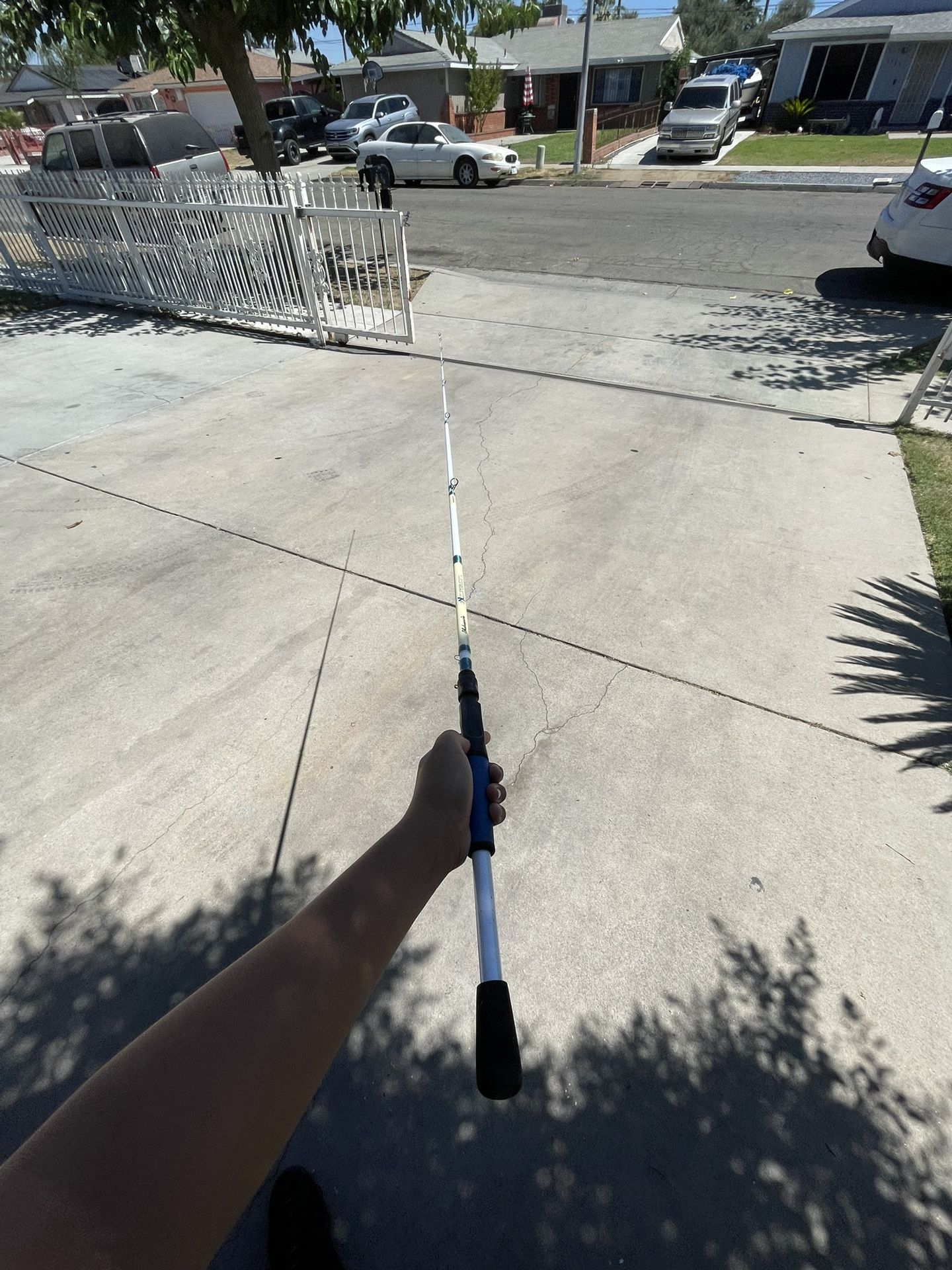 Shake Spear Rod