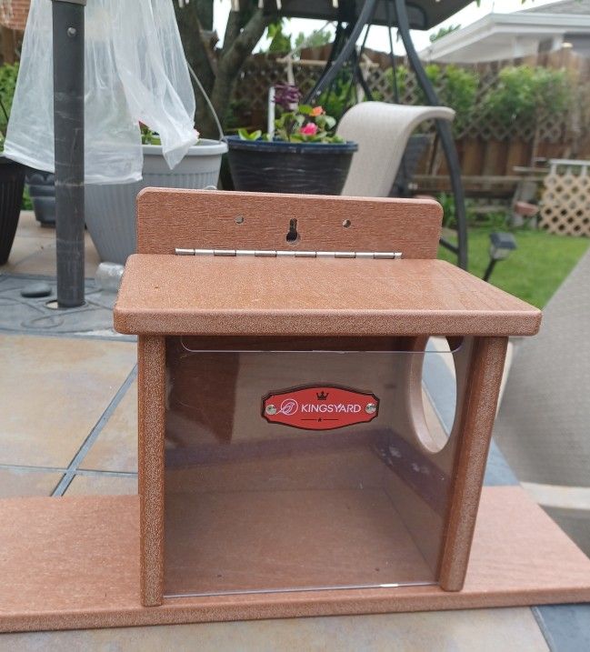 Kingsyard Squirrel Feeder!