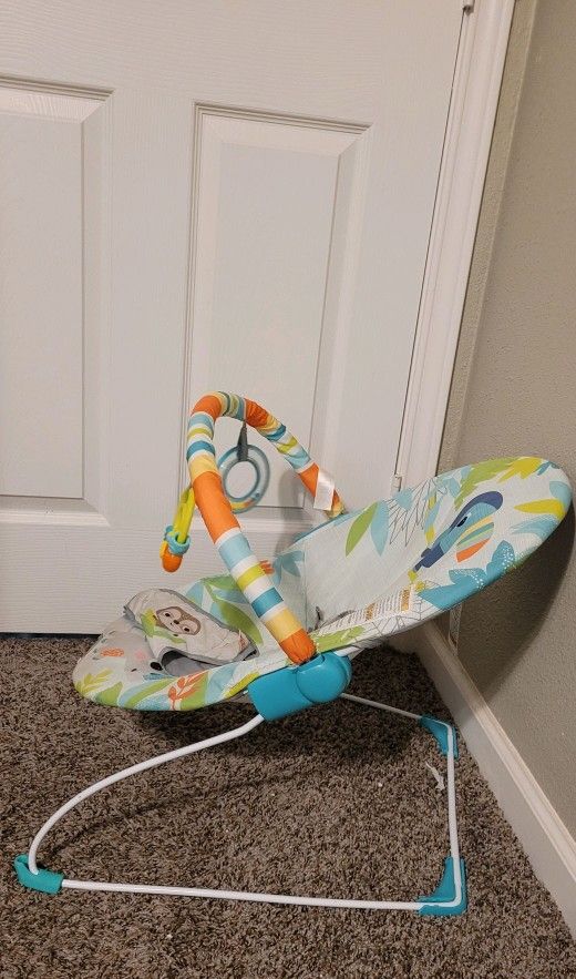 Baby Bouncer & Doorway Bouncer Set