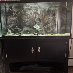 60gallon Fish Tank With Stand + Accessories 