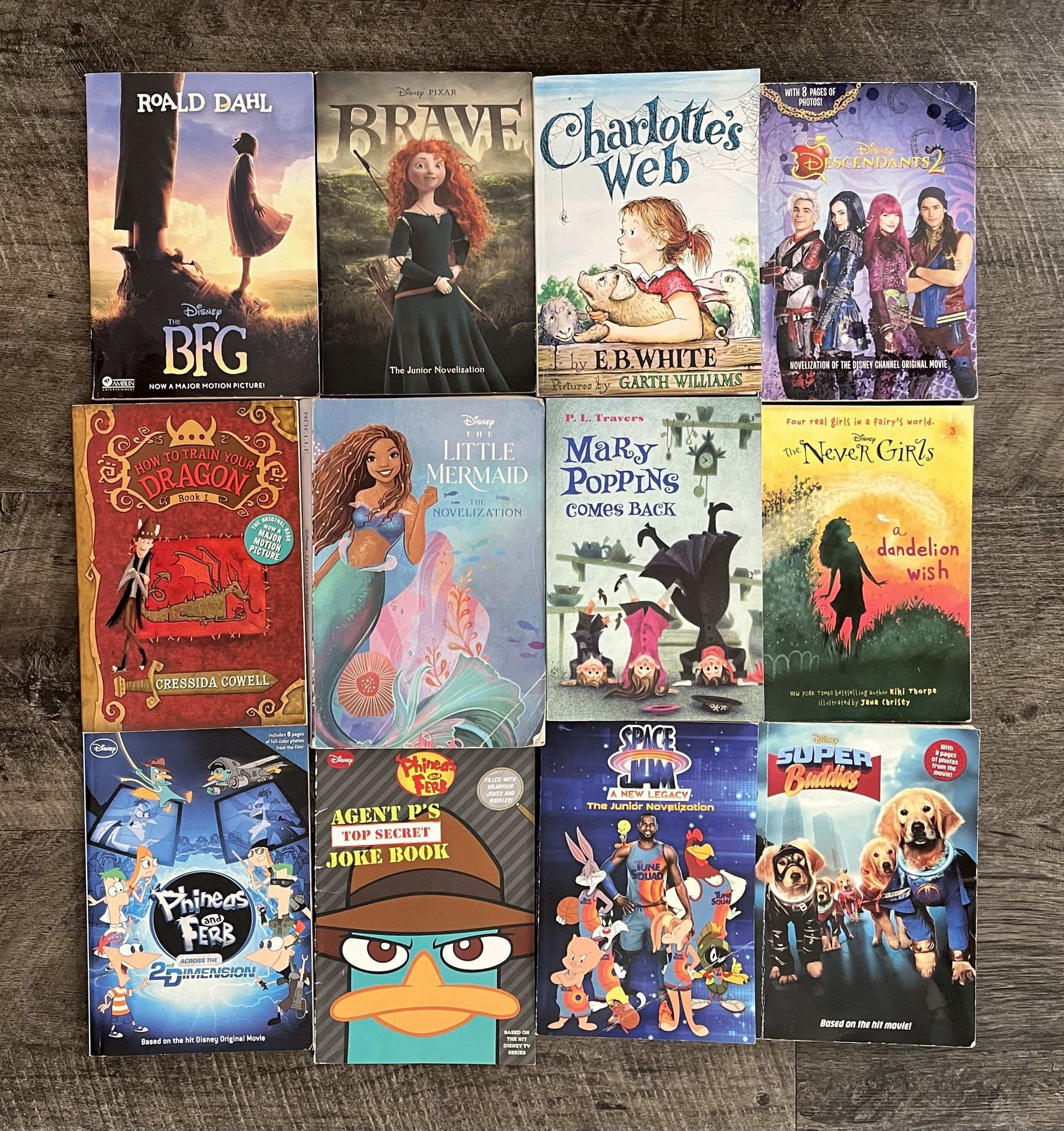 Disney Chapter Books (Lot of 12)