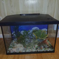 Fish Tank