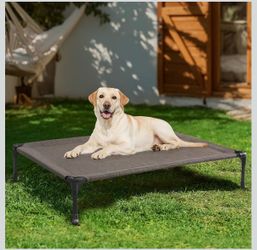 Dog bed raised
