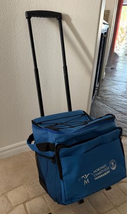 Rolling mini-cooler