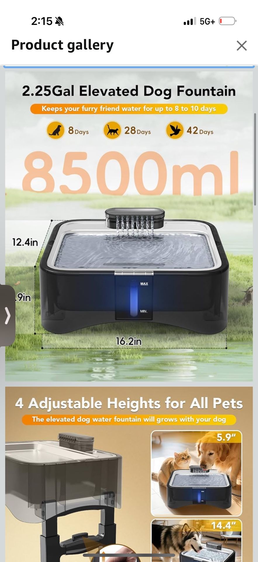 Elevated Dog Water Fountain, 4 Heights Adjustable Pet Fountain for All Dog Sizes, 304 Stainless Steel Tray Indoor Cat Drinking Dispenser with Ultra-Qu