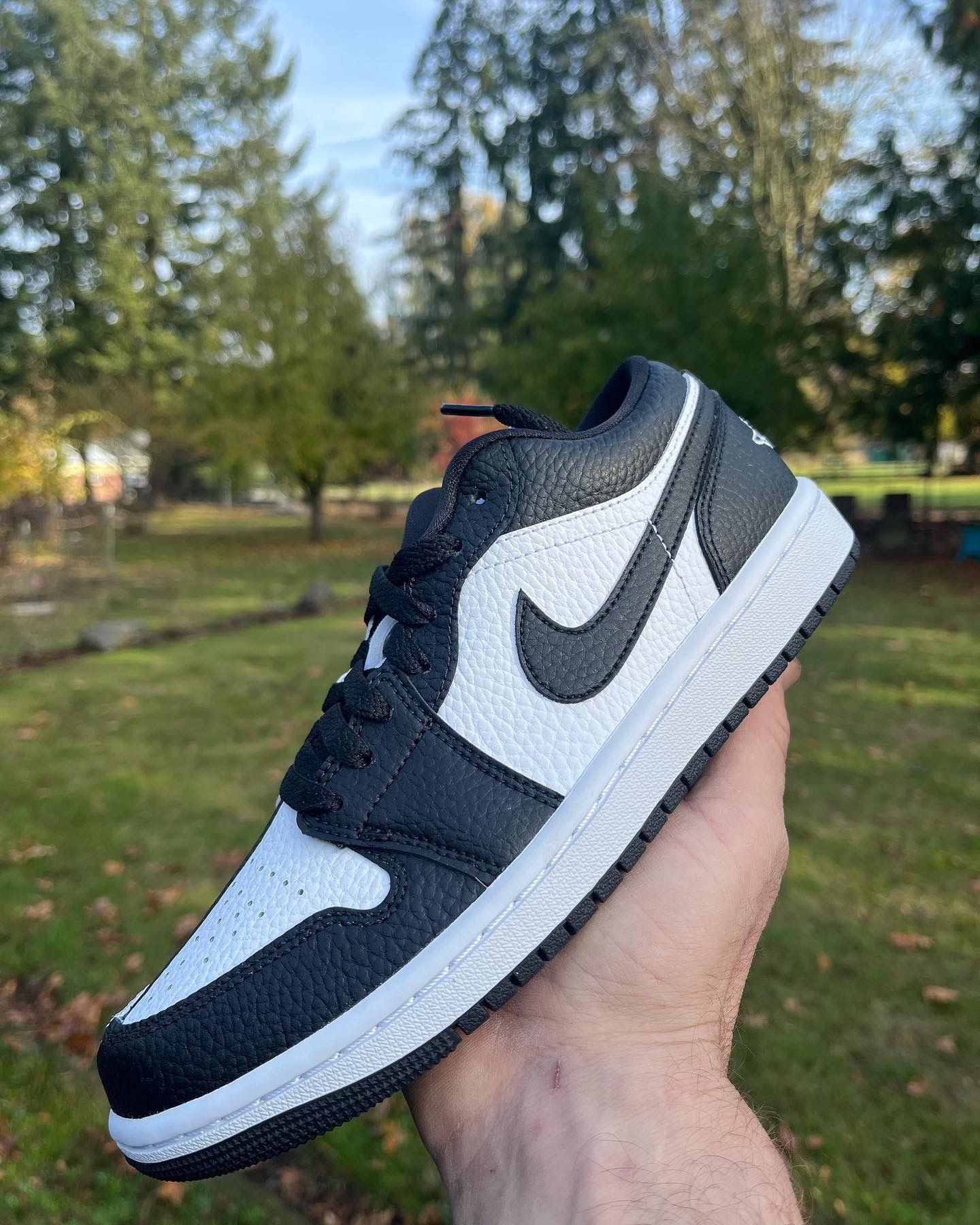 Jordan 1 Low Split