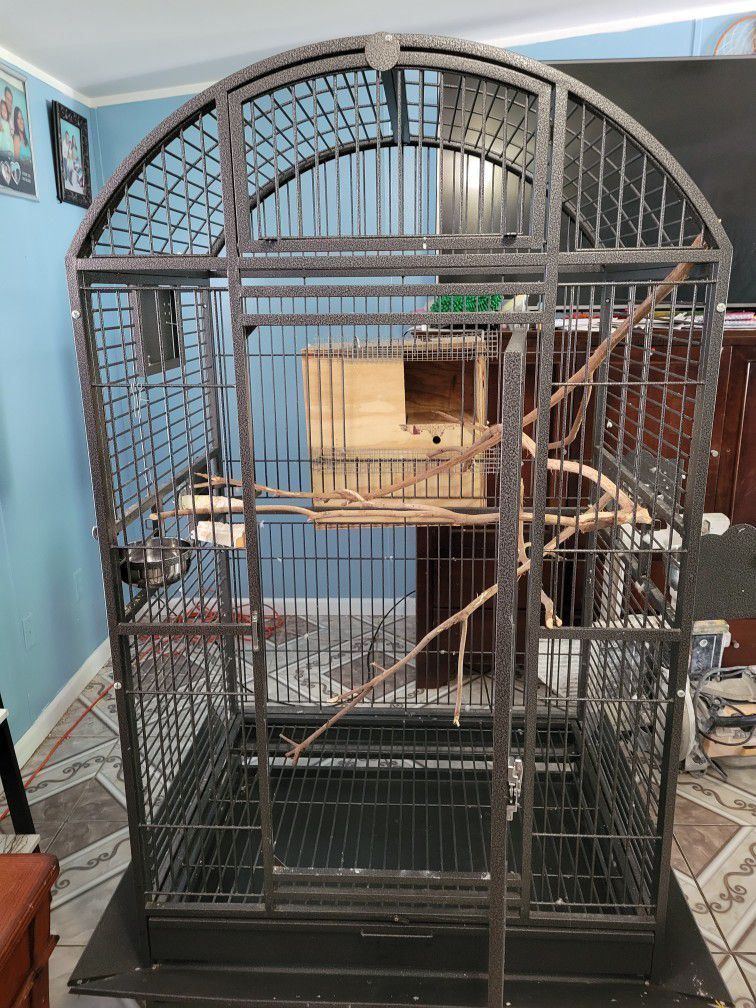 Parrot Cage 🦜 