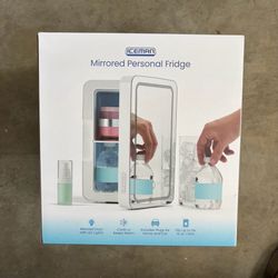 Mirror mini fridge
