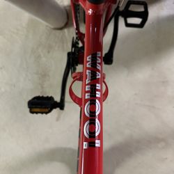 Trek Kids Bike