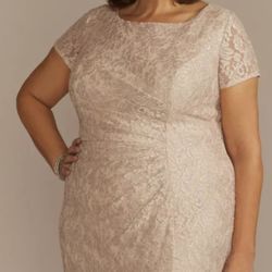 Sequin/Lace Dress/Oleg Cassini
