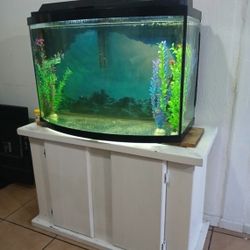 Fish Tank