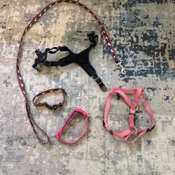 Dog leash collar harness