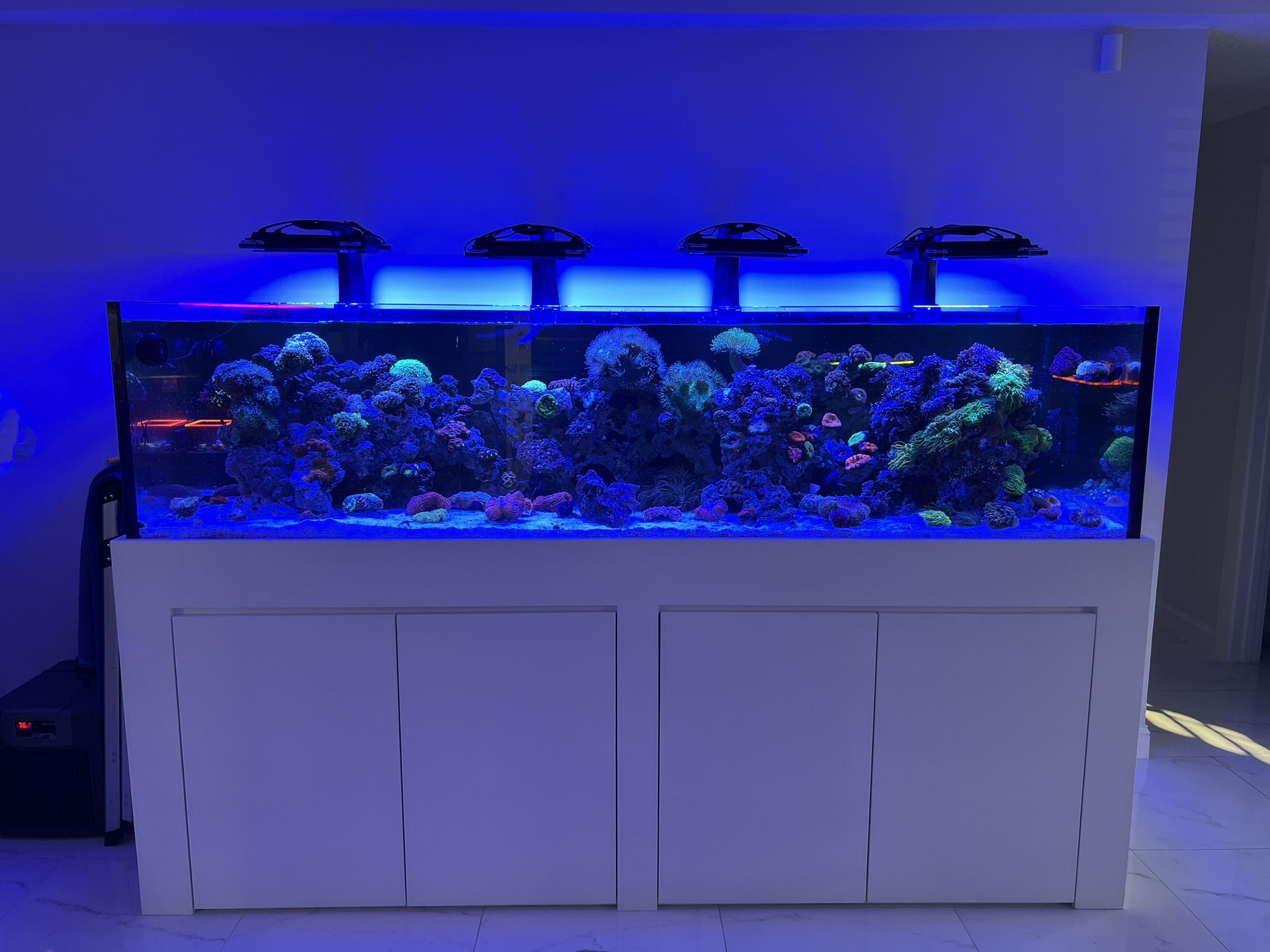 330 Gallon Fish Tank for Sale in Fort Lauderdale, FL - OfferUp