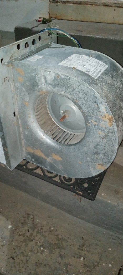 Squirrel Cage Fan