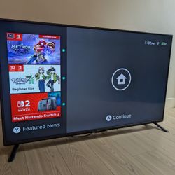 55 inch LG TV