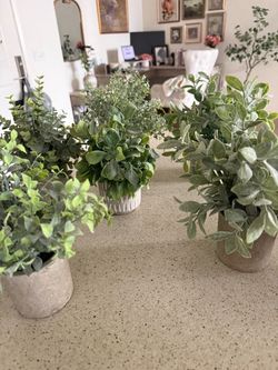 7 mini potted plants (faux)