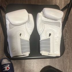 🥊 FightCamp 12oz Boxing Gloves – Clean, Durable, and Ready to Train