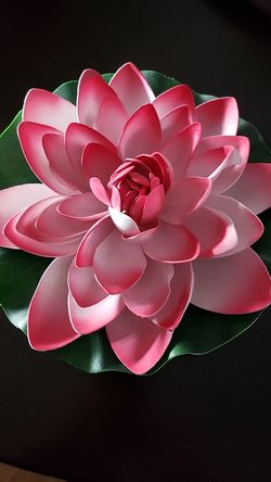 Beautiful flower for your fish tank,or home decor