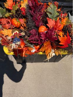 Free fall  and Christmas decor
