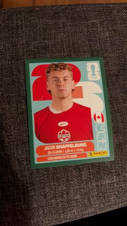 2026 panini World Cup sticker
