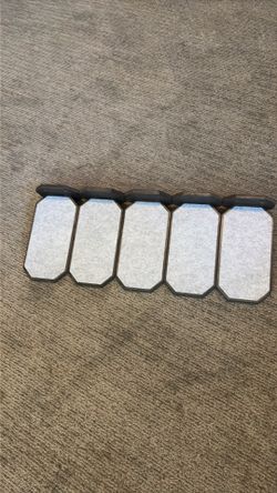 Cat steps