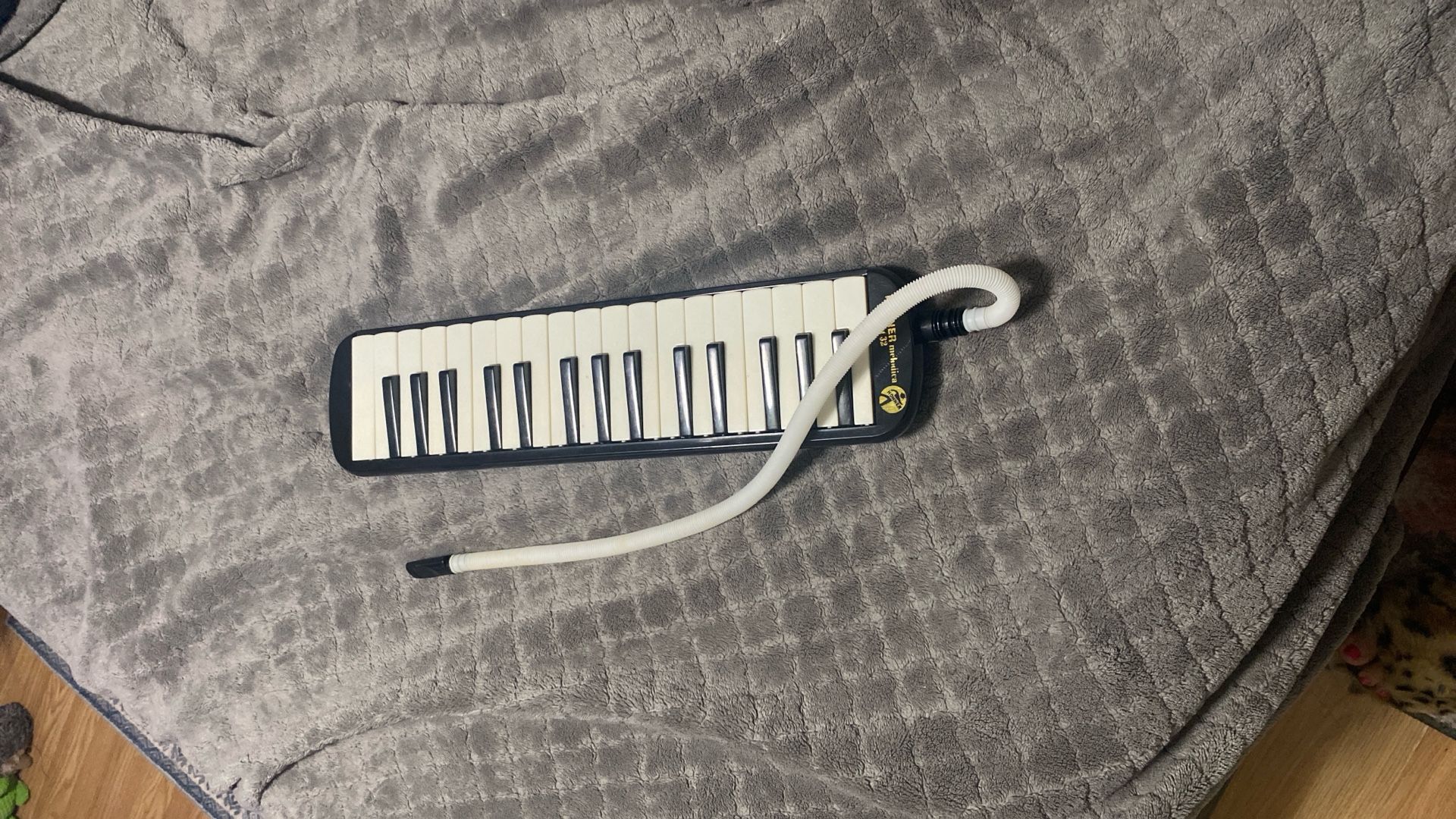 Hohner Melódica Student 32 /airboard