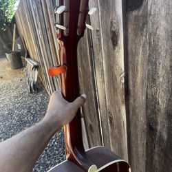 Acoustic Guitar