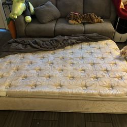 Free beauty rest Mattress And Frame (used)