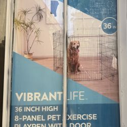 pet exercise