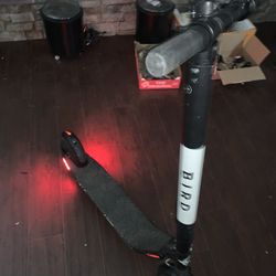 Segway Scooter In Good Working Condition