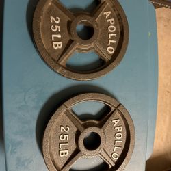 Various Weight Plates 
