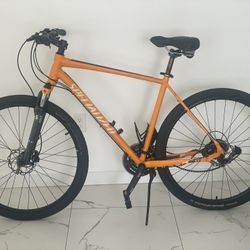 Mountain Bike- Specialized 