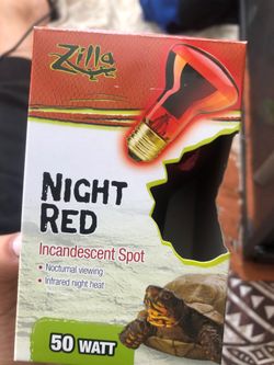 Reptile night light red