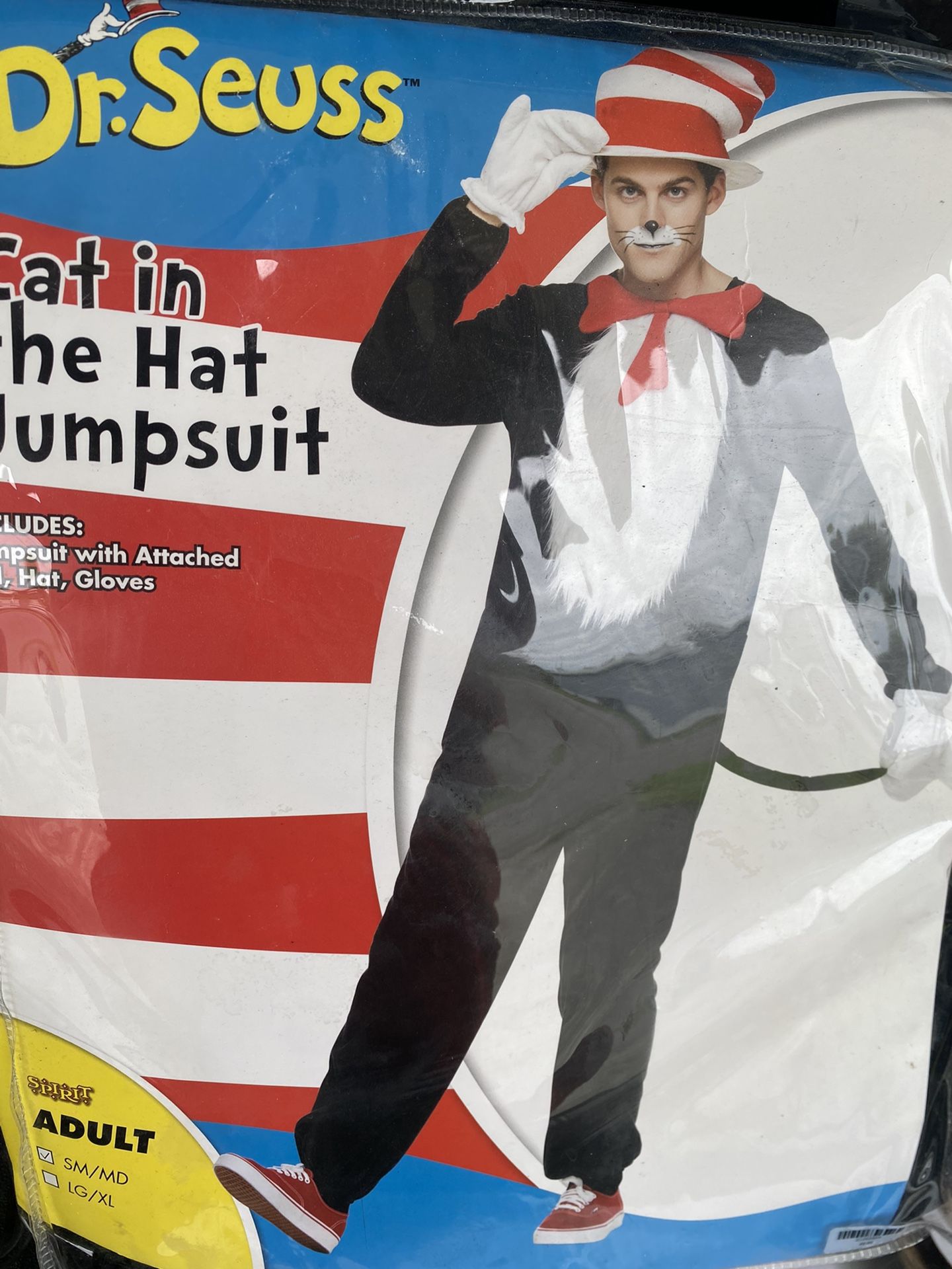 Dr. Seuss Halloween Costume