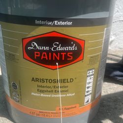 5 Gallon White With Hint Of Green Aristoshield