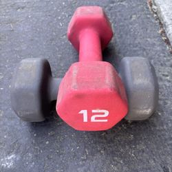 12lb Rubber Dumbbells 