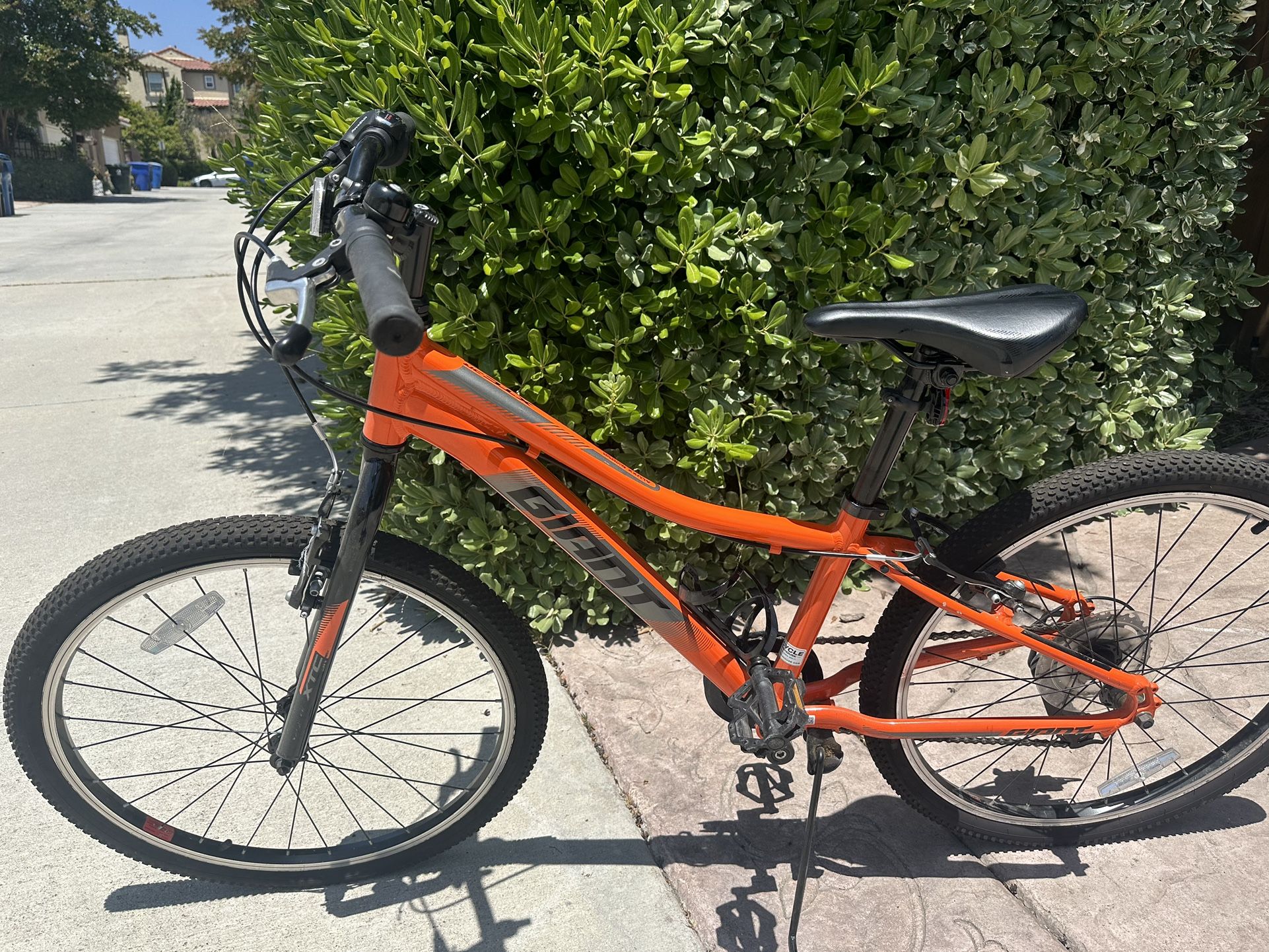 Giant Kids Trail Bike