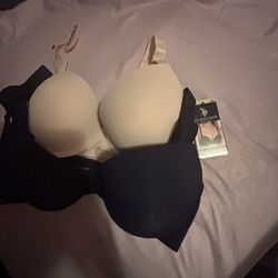 US Polo Assn Push up Bra 38C