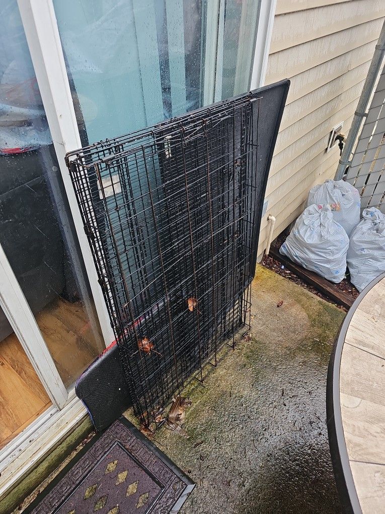 Dog Cage And Tray