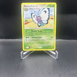 Pokémon Butterfree Lv.36 2008