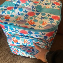 Cooler $20 available at Desoto